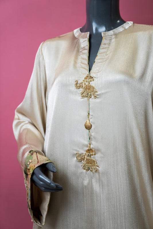 Elegant Cream Kurta with Embroidery and Printed Borders